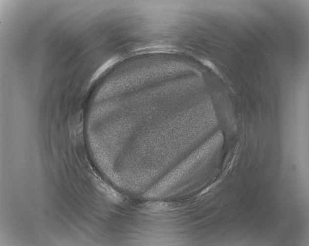 X0000078891450200612042038