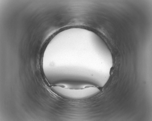 X0000078891452200612042038