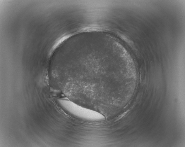 X0000078891453200612042038