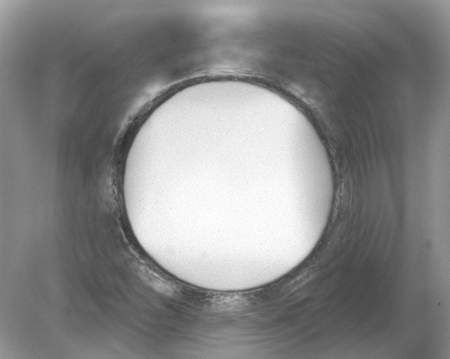 X0000078891454200612042038