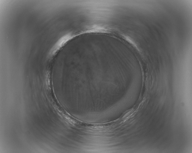 X0000078891455200612042038