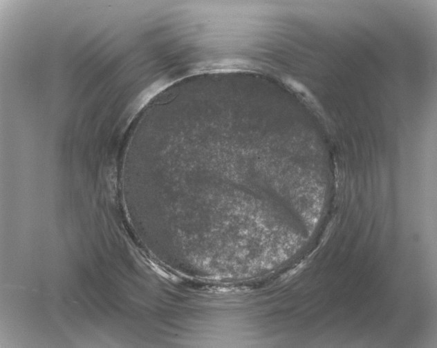 X0000078891457200612042038