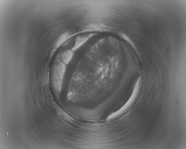 X0000078891459200612042037