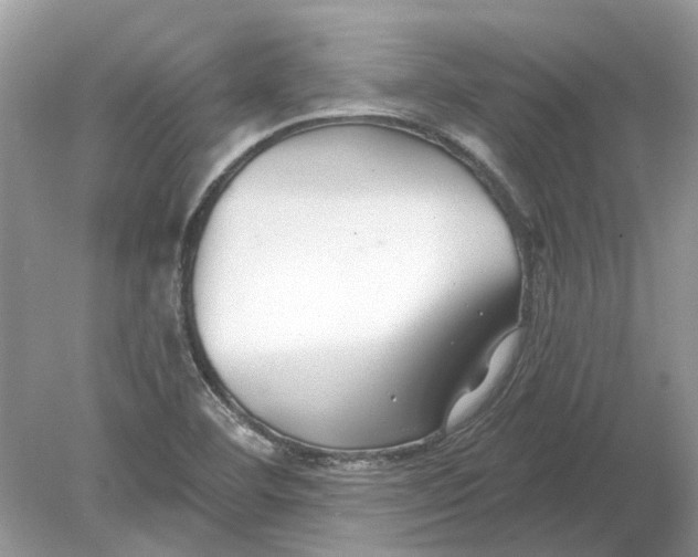 X0000078891460200612042037