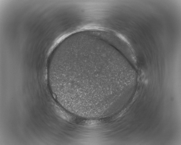 X0000078891461200612042037