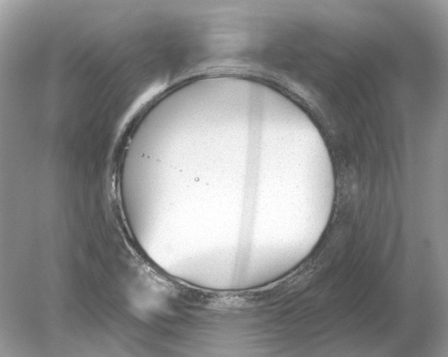 X0000078891462200612042037