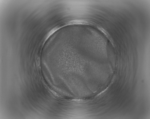 X0000078891465200612042037