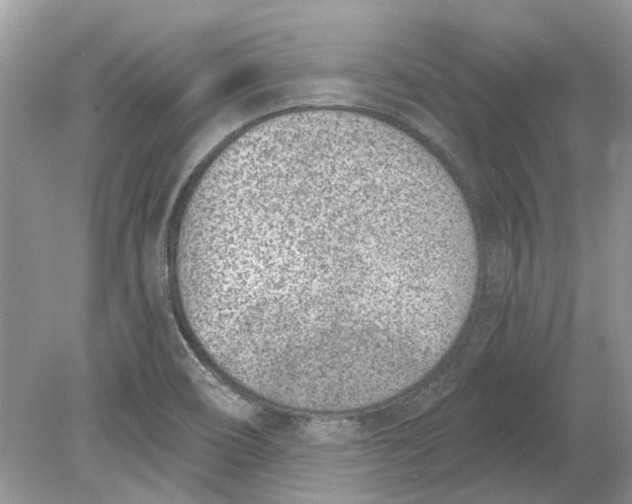 X0000078891466200612042037