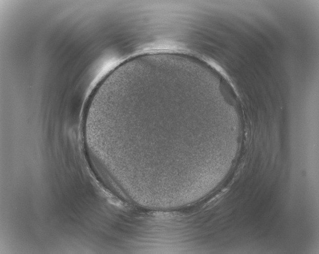 X0000078891469200612042037