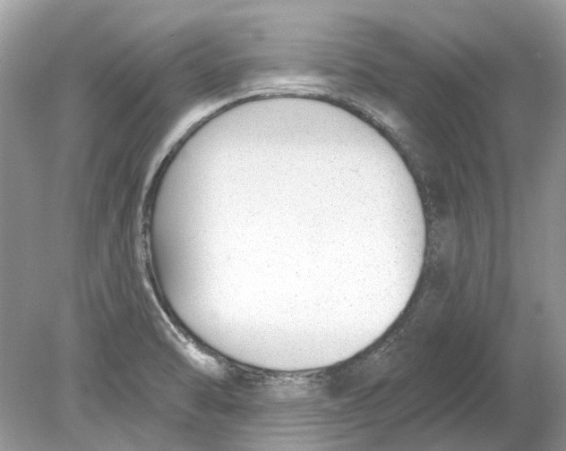 X0000078891470200612042037