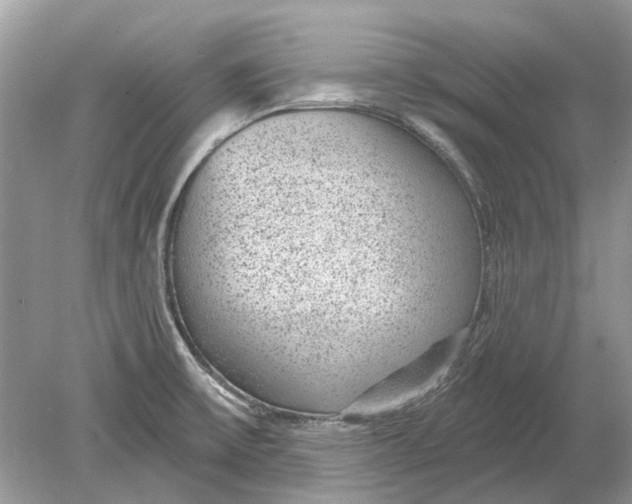 X0000078891475200612042037