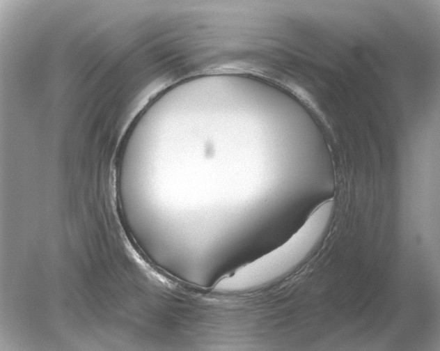 X0000078891476200612042037