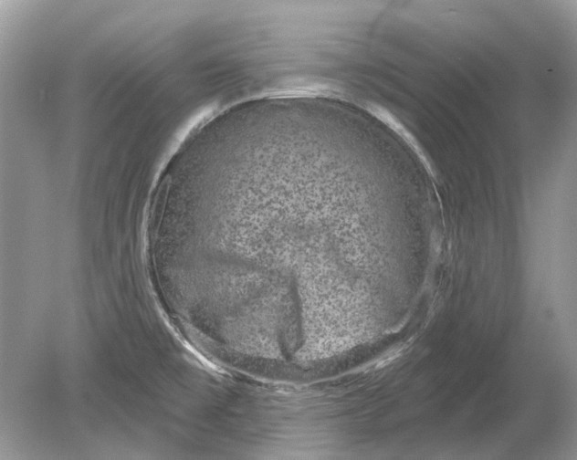 X0000078891477200612042037