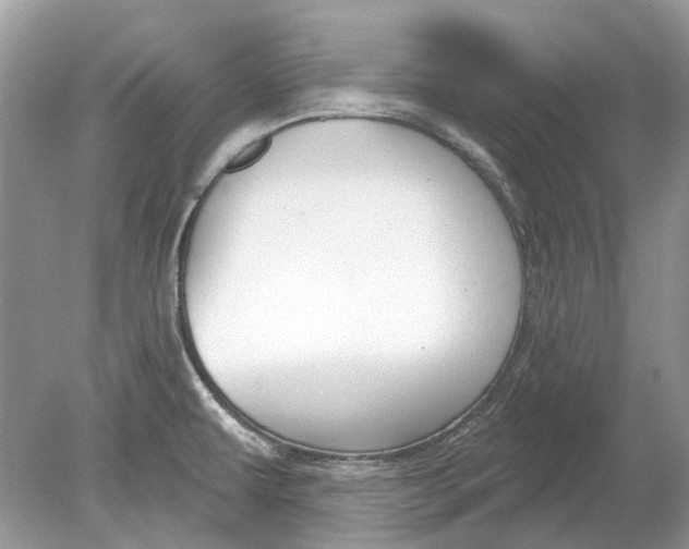 X0000078891479200612042037