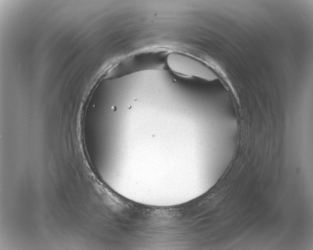 X0000078891480200612042037