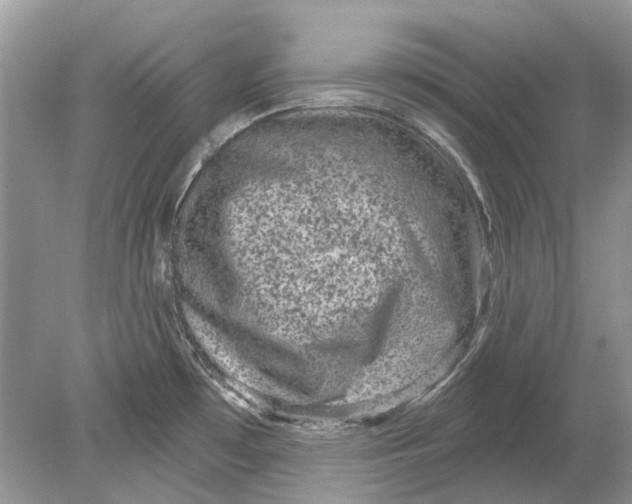 X0000078891481200612042037