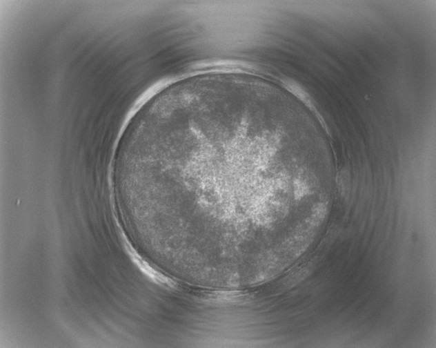 X0000078891482200612042037