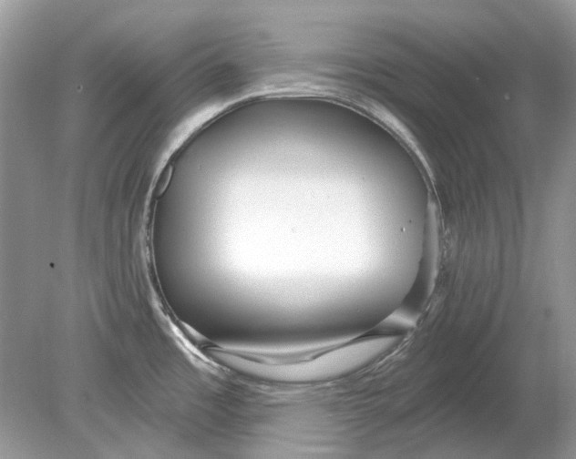 X0000078891485200612042037