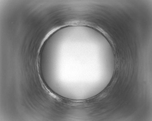 X0000078891486200612042037