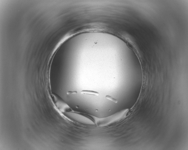 X0000078891487200612042037