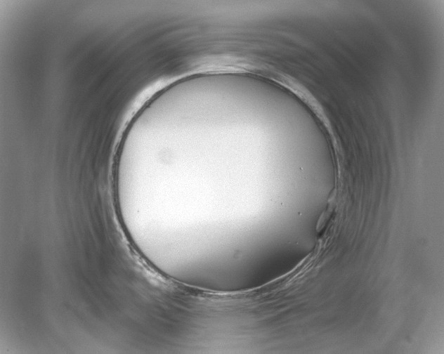 X0000078891488200612042037