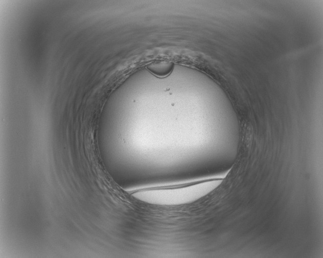 X0000078891489200612042036