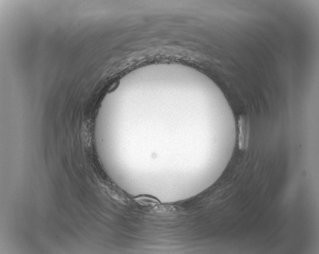 X0000078891491200612042036