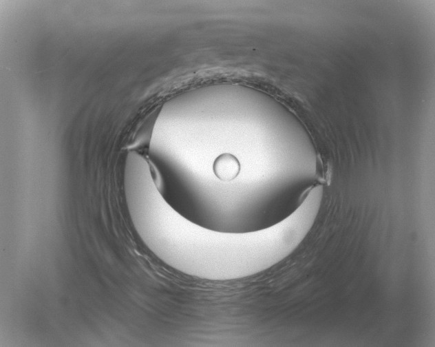 X0000078891492200612042036