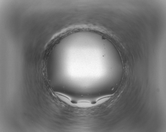 X0000078891494200612042036