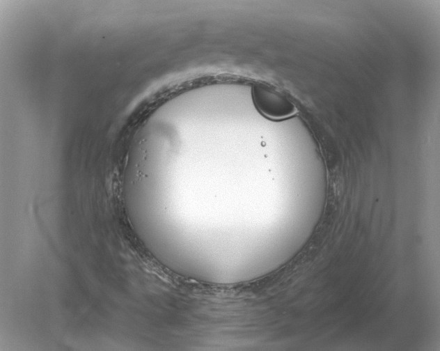 X0000078891495200612042036