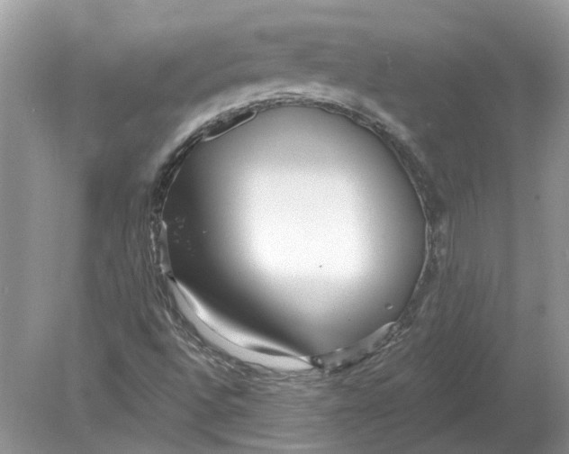 X0000078891496200612042036