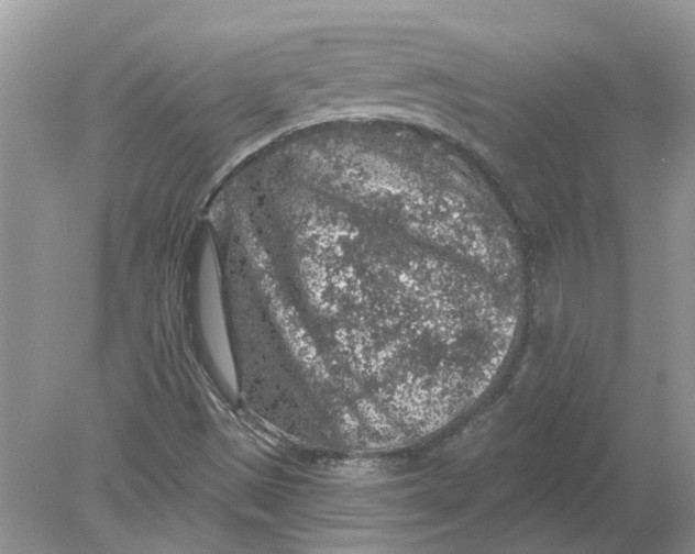 X0000078891497200612042036