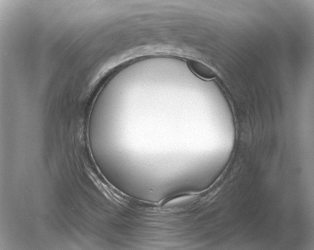 X0000078891499200612042036