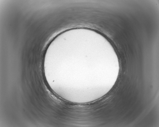 X0000078891500200612042036