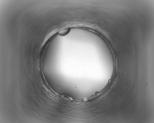 X0000078891501200612042036