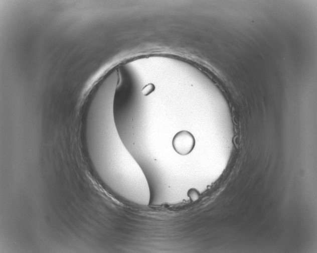 X0000078891502200612042036