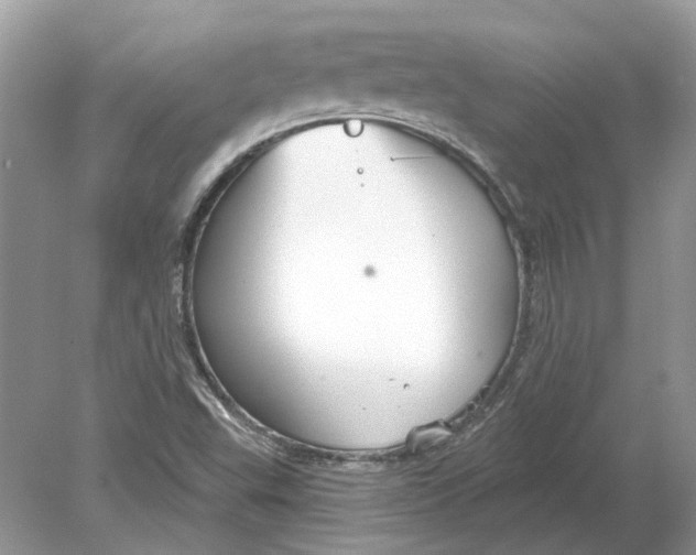 X0000078891503200612042036