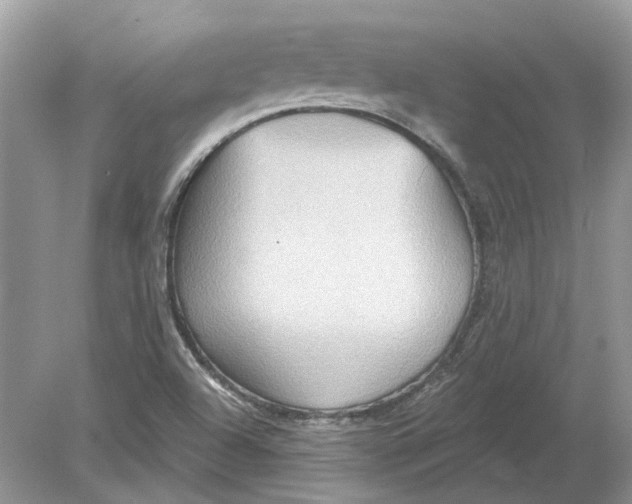 X0000078891504200612042036