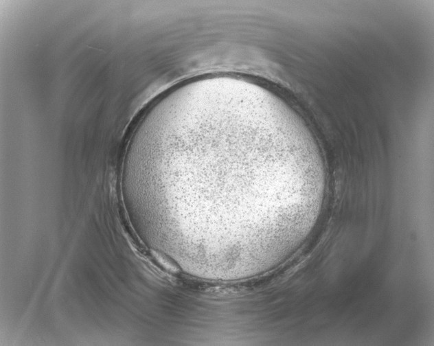 X0000078891505200612042036