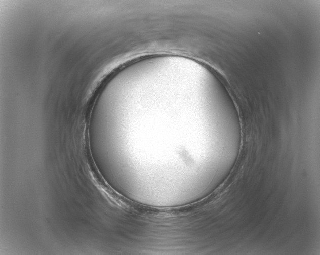 X0000078891507200612042037