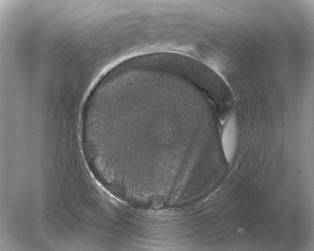 X0000078891508200612042037