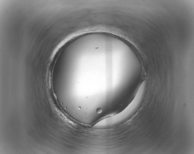 X0000078891510200612042037