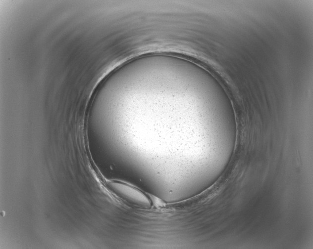 X0000078891513200612042037