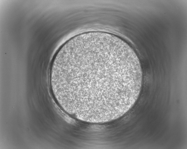 X0000078891514200612042037