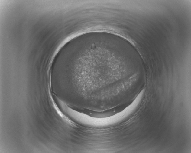 X0000078891515200612042037