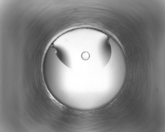 X0000078891516200612042037