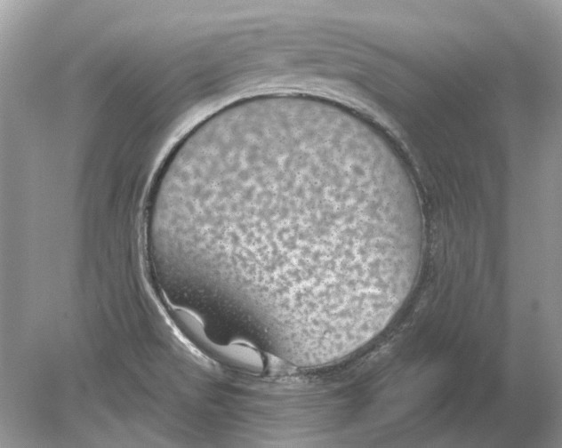 X0000078891517200612042037