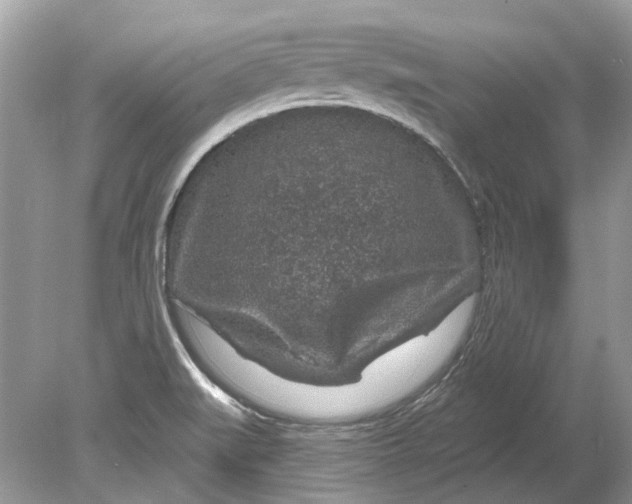 X0000078891519200612042037