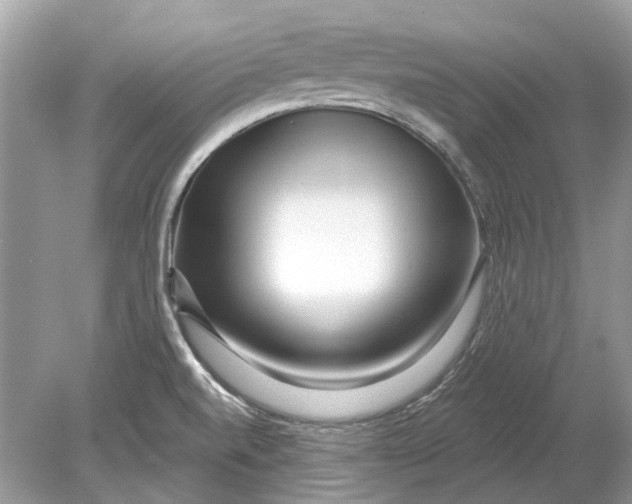 X0000078891520200612042037