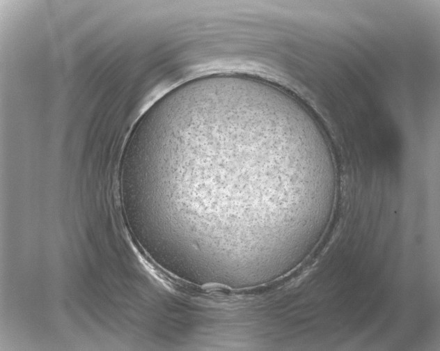 X0000078891521200612042037